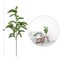 Green Hoop Pine Spray: Set of 12, 30-Inch, Faux Greenery by Floral Home&#xAE;